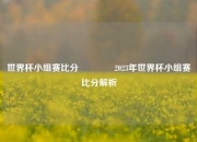 世界杯小组赛比分🥎2023年世界杯小组赛比分解析