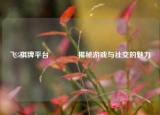飞5棋牌平台🏆揭秘游戏与社交的魅力