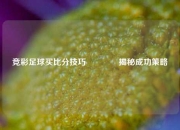 竞彩足球买比分技巧🥎揭秘成功策略