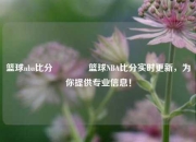 篮球nba比分👈篮球NBA比分实时更新，为你提供专业信息！