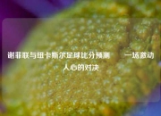 谢菲联与纽卡斯尔足球比分预测✌️一场激动人心的对决