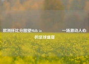 欧洲杯比分图望98db in🎖️一场激动人心的足球盛宴