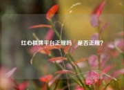 红心棋牌平台正规吗⚽是否正规？