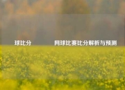 網球比分🏀网球比赛比分解析与预测