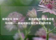 篮球比分 球探🏐高效获取篮球比赛信息与分析——揭秘球探在现代体育中的作用