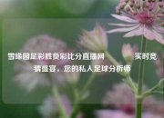 雪缘园足彩胜负彩比分直播网🏅实时竞猜盛宴，您的私人足球分析师