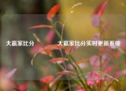 大嬴家比分🥇大嬴家比分实时更新系统