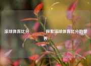 滚球体育比分🥎探索滚球体育比分的世界