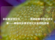 买彩票足球比分🏅揭秘彩票中的足球元素——揭秘买彩票足球比分背后的奥秘