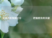 足球分析预测比分⚽👍把握胜负的关键