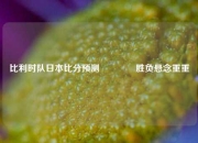 比利时队日本比分预测🏆胜负悬念重重