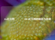 fifa比分网🌈FIFA比分网的崛起与影响