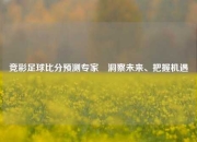竞彩足球比分预测专家⚽洞察未来、把握机遇
