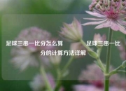 足球三串一比分怎么算🥇足球三串一比分的计算方法详解
