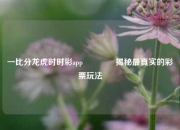 一比分龙虎时时彩app🌈揭秘最真实的彩票玩法