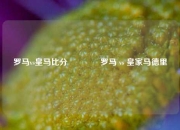 罗马vs皇马比分🥎罗马 vs 皇家马德里