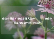 安山木槿花Ⅴs安山水绿人比分👉安山木槿花与安山水绿人的比拼