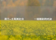 荷兰vs土耳其比分👉一场精彩的对决