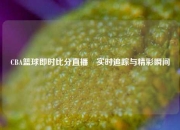 CBA篮球即时比分直播⚾实时追踪与精彩瞬间