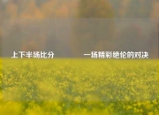 上下半场比分🏆一场精彩绝伦的对决