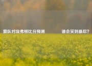 狼队对埃弗顿比分预测🥇谁会笑到最后？