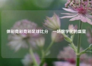 体彩竞彩竞彩足球比分⚽一场数字化的盛宴