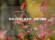 管泽元预测比赛走向⚽洞察与策略