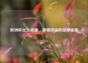 欧洲杯比分直播⚾激情四溢的足球盛宴