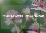 手机足球比赛比分直播⚽实时互动的足球盛宴
