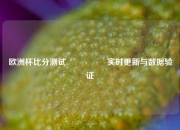 欧洲杯比分测试🎖️实时更新与数据验证