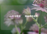nba比分单双✌️揭秘单双走势