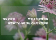雪足彩比分🎖️雪地下的激情碰撞——滑雪爱好者与冰球运动员的冰雪盛宴