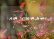 比分壁纸⚾如何用壁纸表达你的激情