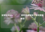 足球比分90ko🌈即时竞猜体验，实时数据解读