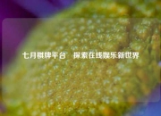 七月棋牌平台⚽探索在线娱乐新世界