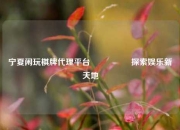 宁夏闲玩棋牌代理平台🎖️探索娱乐新天地