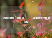 足球即时比分波胆网🏅掌握胜算的明智选择