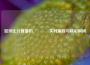 篮球比分直播的👍实时追踪与精彩瞬间