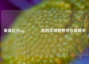 章鱼比分app🥉您的足球世界尽在掌握中