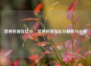 世界杯现在比分⚽世界杯现在比分解析与分析