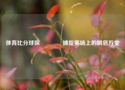 体育比分球探👍捕捉赛场上的瞬息万变