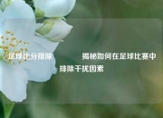 足球比分排除🥈揭秘如何在足球比赛中排除干扰因素