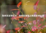 如何买足球比分⚾如何在淘宝上购买足球比分