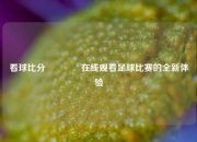 看球比分🥈在线观看足球比赛的全新体验