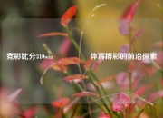 竞彩比分310win🎖️体育博彩的前沿探索