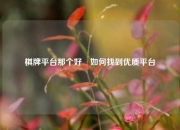 棋牌平台那个好⚾如何找到优质平台