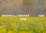 球探足球比分app下载历史版本🥉从起源到发展