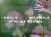广州 亚冠 比分🥇广州恒大亚冠比分为多少？揭秘中国足球的荣耀与挑战