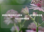 欧冠比赛结果比分查询🏐欧冠比赛结果与比分查询指南