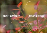 亚洲杯篮球赛比分🌈精彩纷呈的较量